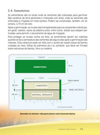 14Semeando o Bioma Cerrado
2.4. Sementeiras
As sementeiras são os locais onde as sementes são colocadas para germinar.
São canteiros de terra peneirada e misturada com areia, onde as sementes são
enterradas e irrigadas em meia sombra. Podem ser construídas, também, em al-
venaria, a 70 cm do solo.
Após a germinação, as mudas são transplantadas para os recipientes individuais,
em geral, tubetes, sacos de plástico preto, entre outros, desde que estejam per-
furadas, para permitir o escoamento da água de irrigação.
Para proteger as mudas contra sol forte, as sementeiras devem ser cobertas
quando se faz a semeadura das sementes até alguns dias após a germinação das
mesmas. Esta cobertura pode ser feita com o auxílio de ripado (varas de bambu
cortadas ao meio, folhas de palmeiras etc.) ou sombrite, que deve ser firmado
sobre estruturas de bambu, ferro ou madeira.
SEMENTEIRA
3 a 5 m
1,2 m
Apoio lateral
NÍVEL DO SOLO
SUBSTRATO
MATERIAL DRENANTE
1,2 m
30 cm
20 cm
X
Fonte: David & Faria (2008).
Sementeira em alvenaria: visão geral (acima) e corte transversal (abaixo).
 