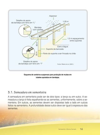 16Semeando o Bioma Cerrado
1,5 m espaçamento
entre suportes
Detalhe do apoio
da bandeja com ferro em “T”
1,20 m
50m
Cano d’água
Suporte da bancada
Parte do suporte a ser ﬁncada no chão
Detalhe do apoio
da bandeja com ferro em “L”
Aspersor
Bandeja
com tubetes
80m
Fonte: Ribeiro et al. (2001)
Esquema de canteiros suspensos para produção de mudas em
tubetes apoiados em bandejas.
3.1. Semeadura em sementeira
A semeadura em sementeira pode ser de dois tipos: a lanço ou em sulco. A se-
meadura a lanço é feita espalhando-se as sementes, uniformemente, sobre a se-
menteira. Em sulcos, as sementes devem ser dispostas lado a lado em sulcos
feitos na sementeira. A profundidade desse sulco deve ser igual à espessura das
sementes.
 
