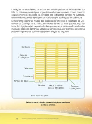 19 Viveiros florestais: projeto, instalação, manejo e comercialização
Limitações no crescimento de mudas em tubetes podem ser ocasionadas por
falta ou pelo excesso de água. Irrigações ou chuvas excessivas podem provocar
o aparecimento de doenças e a lixiviação dos fertilizantes contidos no substrato,
requerendo freqüentes reposições de nutrientes por adubações em cobertura.
É importante separar as mudas das espécies pertencentes à vegetação do Cer-
rado ou da Caatinga sensu stricto, em setores de uma ou mais quadras, cujo sis-
tema de irrigação seja independente das quadras onde estão sendo produzidas
mudas de espécies da Floresta Estacional Semidecídua, por exemplo, o que torna
possível irrigar menos o primeiro grupo em relação ao segundo.
Canteiros
Cano de
2 polegadas
Cano de
2 polegadas
Tela
Entrada
Tanque de água
Bomba Rede principal
cano 3 polegadas
Fonte: Ribeiro et al. (2001)
Rede principal de irrigação, com a distribuição nas plataformas
e entre os canteiros.
 