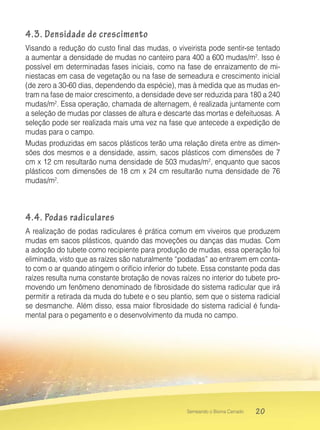 20Semeando o Bioma Cerrado
4.3. Densidade de crescimento
Visando a redução do custo final das mudas, o viveirista pode sentir-se tentado
a aumentar a densidade de mudas no canteiro para 400 a 600 mudas/m2
. lsso é
possível em determinadas fases iniciais, como na fase de enraizamento de mi-
niestacas em casa de vegetação ou na fase de semeadura e crescimento inicial
(de zero a 30-60 dias, dependendo da espécie), mas à medida que as mudas en-
tram na fase de maior crescimento, a densidade deve ser reduzida para 180 a 240
mudas/m2
. Essa operação, chamada de alternagem, é realizada juntamente com
a seleção de mudas por classes de altura e descarte das mortas e defeituosas. A
seleção pode ser realizada mais uma vez na fase que antecede a expedição de
mudas para o campo.
Mudas produzidas em sacos plásticos terão uma relação direta entre as dimen-
sões dos mesmos e a densidade, assim, sacos plásticos com dimensões de 7
cm x 12 cm resultarão numa densidade de 503 mudas/m2
, enquanto que sacos
plásticos com dimensões de 18 cm x 24 cm resultarão numa densidade de 76
mudas/m2
.
4.4. Podas radiculares
A realização de podas radiculares é prática comum em viveiros que produzem
mudas em sacos plásticos, quando das moveções ou danças das mudas. Com
a adoção do tubete como recipiente para produção de mudas, essa operação foi
eliminada, visto que as raízes são naturalmente “podadas” ao entrarem em conta-
to com o ar quando atingem o orifício inferior do tubete. Essa constante poda das
raízes resulta numa constante brotação de novas raízes no interior do tubete pro-
movendo um fenômeno denominado de fibrosidade do sistema radicular que irá
permitir a retirada da muda do tubete e o seu plantio, sem que o sistema radicial
se desmanche. Além disso, essa maior fibrosidade do sistema radicial é funda-
mental para o pegamento e o desenvolvimento da muda no campo.
 