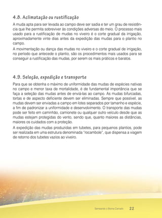 22Semeando o Bioma Cerrado
4.8. Aclimatação ou rustificação
A muda apta para ser levada ao campo deve ser sadia e ter um grau de resistên-
cia que lhe permita sobreviver às condições adversas do meio. O processo mais
usado para a rustificação de mudas no viveiro é o corte gradual da irrigação,
aproximadamente vinte dias antes da expedição das mudas para o plantio no
campo.
A movimentação ou dança das mudas no viveiro e o corte gradual de irrigação,
no período que antecede o plantio, são os procedimentos mais usados para se
conseguir a rustificação das mudas, por serem os mais práticos e baratos.
4.9. Seleção, expedição e transporte
Para que se obtenha o máximo de uniformidade das mudas de espécies nativas
no campo e menor taxa de mortalidade, é de fundamental importância que se
faça a seleção das mudas antes de enviá-las ao campo. As mudas bifurcadas,
tortas e de aspecto deficiente devem ser eliminadas. Sempre que possível, as
mudas devem ser enviadas a campo em lotes separados por tamanho e espécie,
a fim de padronizar a uniformidade e desenvolvimento. O transporte das mudas
pode ser feito em caminhão, camionete ou qualquer outro veículo desde que as
mudas estejam protegidas do vento, sendo que, quanto maiores as distâncias,
maiores os cuidados com a proteção.
A expedição das mudas produzidas em tubetes, para pequenos plantios, pode
ser realizada em uma estrutura denominada “rocambole”, que dispensa a viagem
de retorno dos tubetes vazios ao viveiro.
 