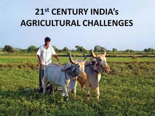 21st CENTURY INDIA’s
AGRICULTURAL CHALLENGES
 