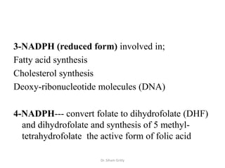 3-NADPH (reduced form) involved in;
Fatty acid synthesis
Cholesterol synthesis
Deoxy-ribonucleotide molecules (DNA)

4-NADPH--- convert folate to dihydrofolate (DHF)
  and dihydrofolate and synthesis of 5 methyl-
  tetrahydrofolate the active form of folic acid

                     Dr. Siham Gritly
 