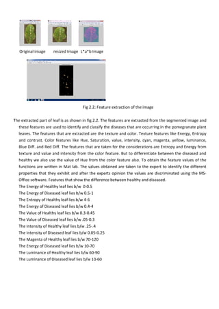 Original image resized Image L*a*b Image
Fig 2.2: Feature extraction of the image
The extracted part of leaf is as shown in fig.2.2. The features are extracted from the segmented image and
these features are used to identify and classify the diseases that are occurring in the pomegranate plant
leaves. The features that are extracted are the texture and color. Texture features like Energy, Entropy
and contrast. Color features like Hue, Saturation, value, intensity, cyan, magenta, yellow, luminance,
Blue Diff. and Red Diff. The features that are taken for the considerations are Entropy and Energy from
texture and value and intensity from the color feature. But to differentiate between the diseased and
healthy we also use the value of Hue from the color feature also. To obtain the feature values of the
functions are written in Mat lab. The values obtained are taken to the expert to identify the different
properties that they exhibit and after the experts opinion the values are discriminated using the MS-
Office software. Features that show the difference between healthy and diseased.
The Energy of Healthy leaf lies b/w 0-0.5
The Energy of Diseased leaf lies b/w 0.5-1
The Entropy of Healthy leaf lies b/w 4-6
The Energy of Diseased leaf lies b/w 0.4-4
The Value of Healthy leaf lies b/w 0.3-0.45
The Value of Diseased leaf lies b/w .05-0.3
The Intensity of Healthy leaf lies b/w .25-.4
The Intensity of Diseased leaf lies b/w 0.05-0.25
The Magenta of Healthy leaf lies b/w 70-120
The Energy of Diseased leaf lies b/w 10-70
The Luminance of Healthy leaf lies b/w 60-90
The Luminance of Diseased leaf lies b/w 10-60
 