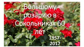 Большому
розарию в
Сокольниках 60
лет
1957-
2017
 
