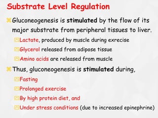 Gluconeogenesis is stimulated by the flow of its
major substrate from peripheral tissues to liver.
Lactate, produced by muscle during exrecise
Glycerol released from adipose tissue
Amino acids are released from muscle
Thus, gluconeogenesis is stimulated during,
Fasting
Prolonged exercise
By high protein diet, and
Under stress conditions (due to increased epinephrine)
Substrate Level Regulation
 