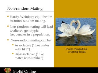 Disassortative Mating Examples Biological Evolution: Evolutionary Theory | PPT