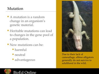 Biological Evolution: Evolutionary Theory | PPT