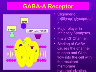 GABA-A Receptor
                             • Oligomeric
                               (αβδγεπρ) glycoprotei
        BDZs
                               n.
BARBs                        • Major player in
             GABA AGONISTS
                               Inhibitory Synapses.
                             • It is a Cl- Channel.
               γ             • Binding of GABA
    α                          causes the channel
                       δ
                               to open and Cl- to
        β          ε           flow into the cell with
                               the resultant
                               membrane
                               hyperpolarization.
 