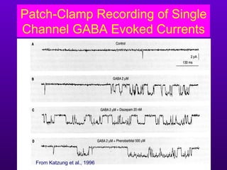 Patch-Clamp Recording of Single
Channel GABA Evoked Currents




  From Katzung et al., 1996
 
