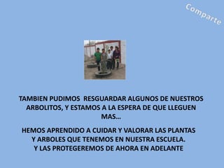 TAMBIEN PUDIMOS RESGUARDAR ALGUNOS DE NUESTROS
  ARBOLITOS, Y ESTAMOS A LA ESPERA DE QUE LLEGUEN
                       MAS…
HEMOS APRENDIDO A CUIDAR Y VALORAR LAS PLANTAS
  Y ARBOLES QUE TENEMOS EN NUESTRA ESCUELA.
   Y LAS PROTEGEREMOS DE AHORA EN ADELANTE
 