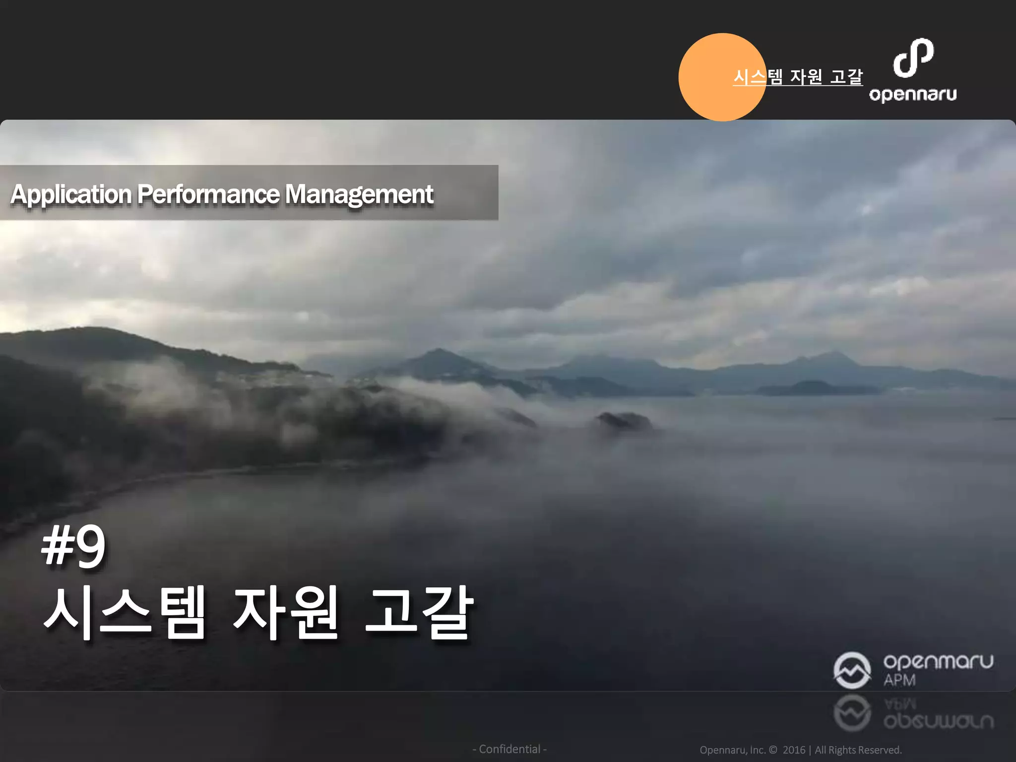 Opennaru, Inc. © 2016 | All Rights Reserved.- Confidential -
시스템 자원 고갈
 