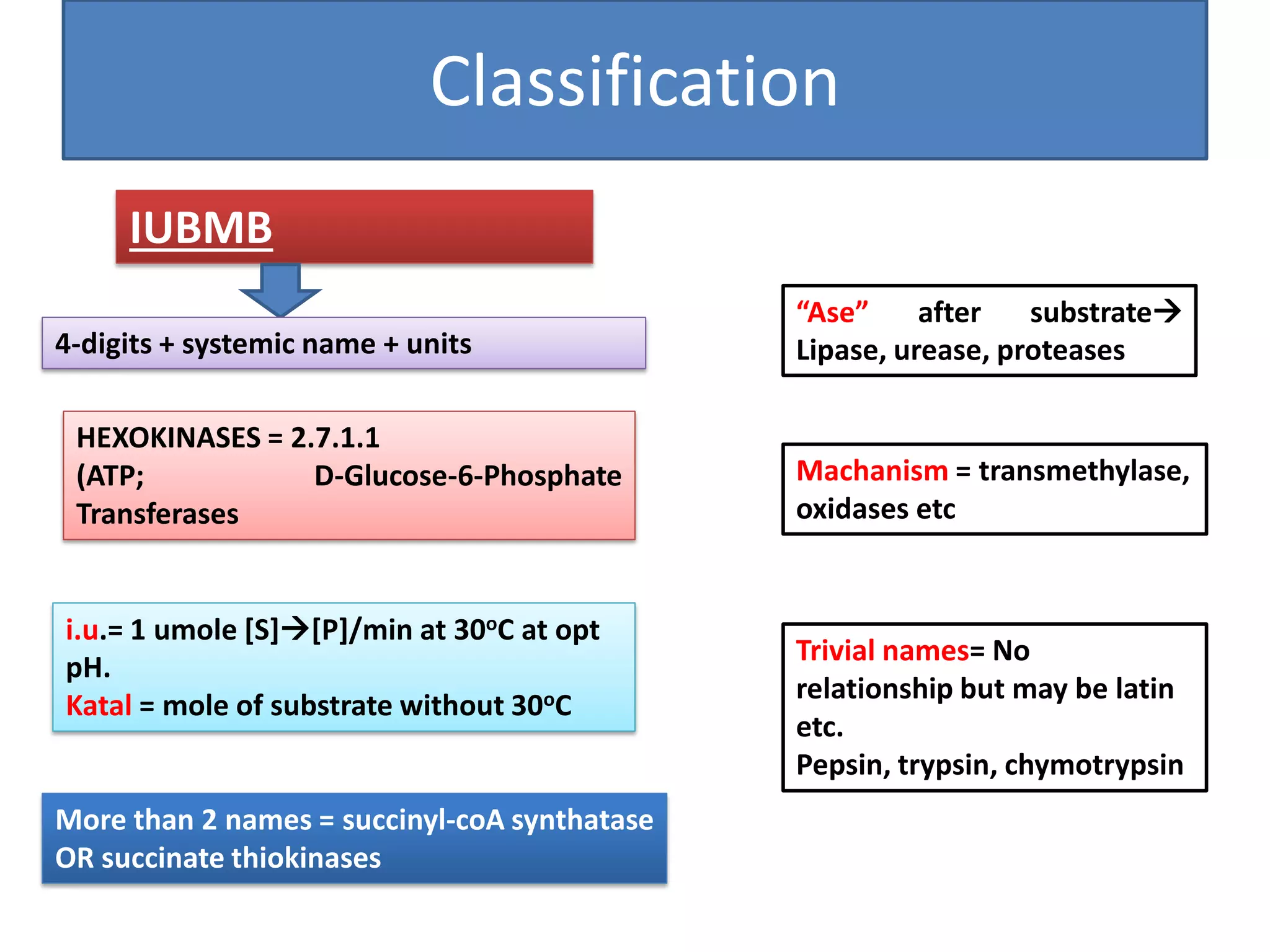 Classification
HEXOKINASES = 2.7.1.1
(ATP; D-Glucose-6-Phosphate
Transferases
“Ase” after substrate
Lipase, urease, proteases
Machanism = transmethylase,
oxidases etc
Trivial names= No
relationship but may be latin
etc.
Pepsin, trypsin, chymotrypsin
IUBMB
4-digits + systemic name + units
i.u.= 1 umole [S][P]/min at 30oC at opt
pH.
Katal = mole of substrate without 30oC
More than 2 names = succinyl-coA synthatase
OR succinate thiokinases
 