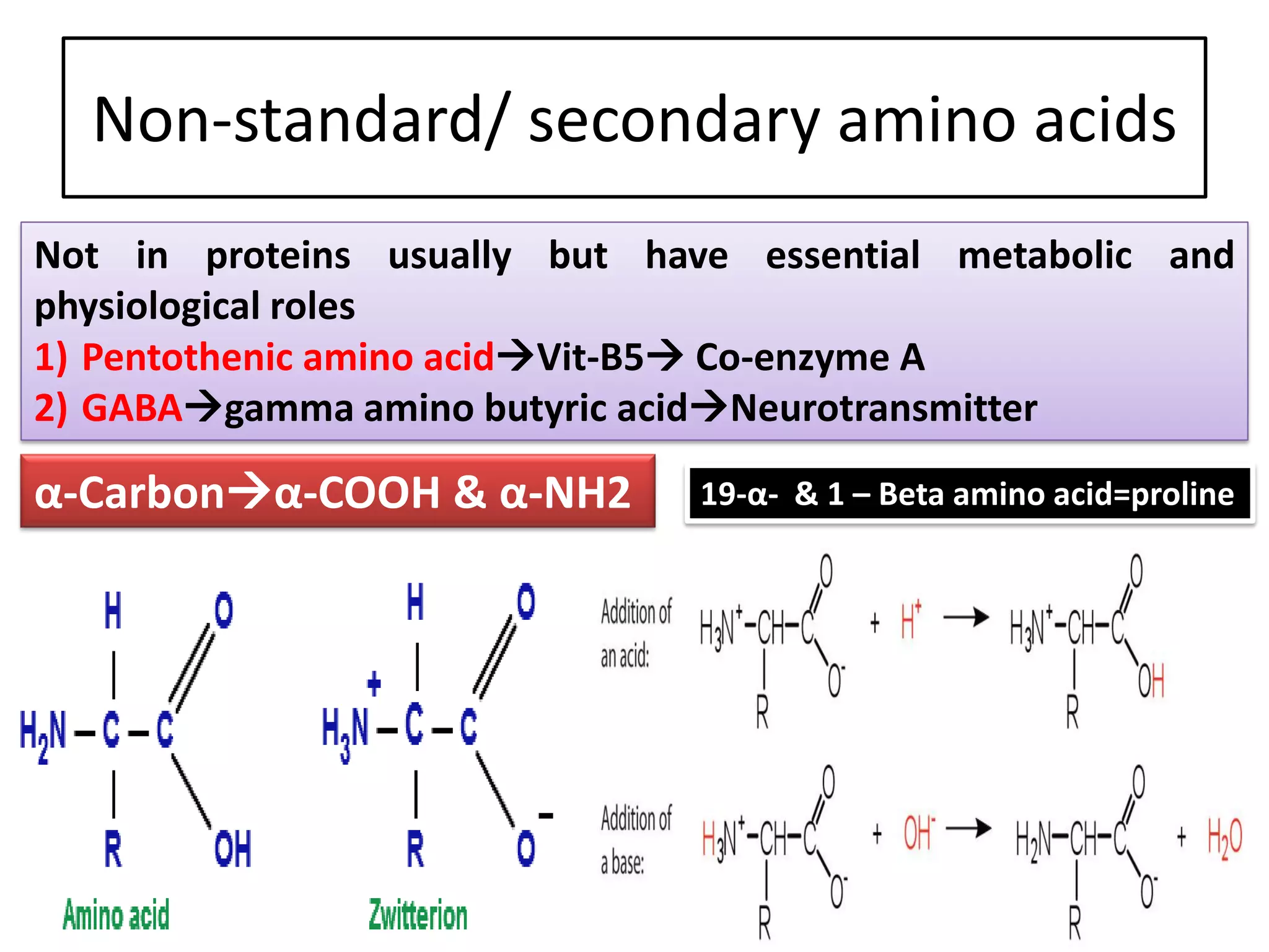 Non-standard/ secondary amino acids
Not in proteins usually but have essential metabolic and
physiological roles
1) Pentothenic amino acidVit-B5 Co-enzyme A
2) GABAgamma amino butyric acidNeurotransmitter
α-Carbonα-COOH & α-NH2 19-α- & 1 – Beta amino acid=proline
 