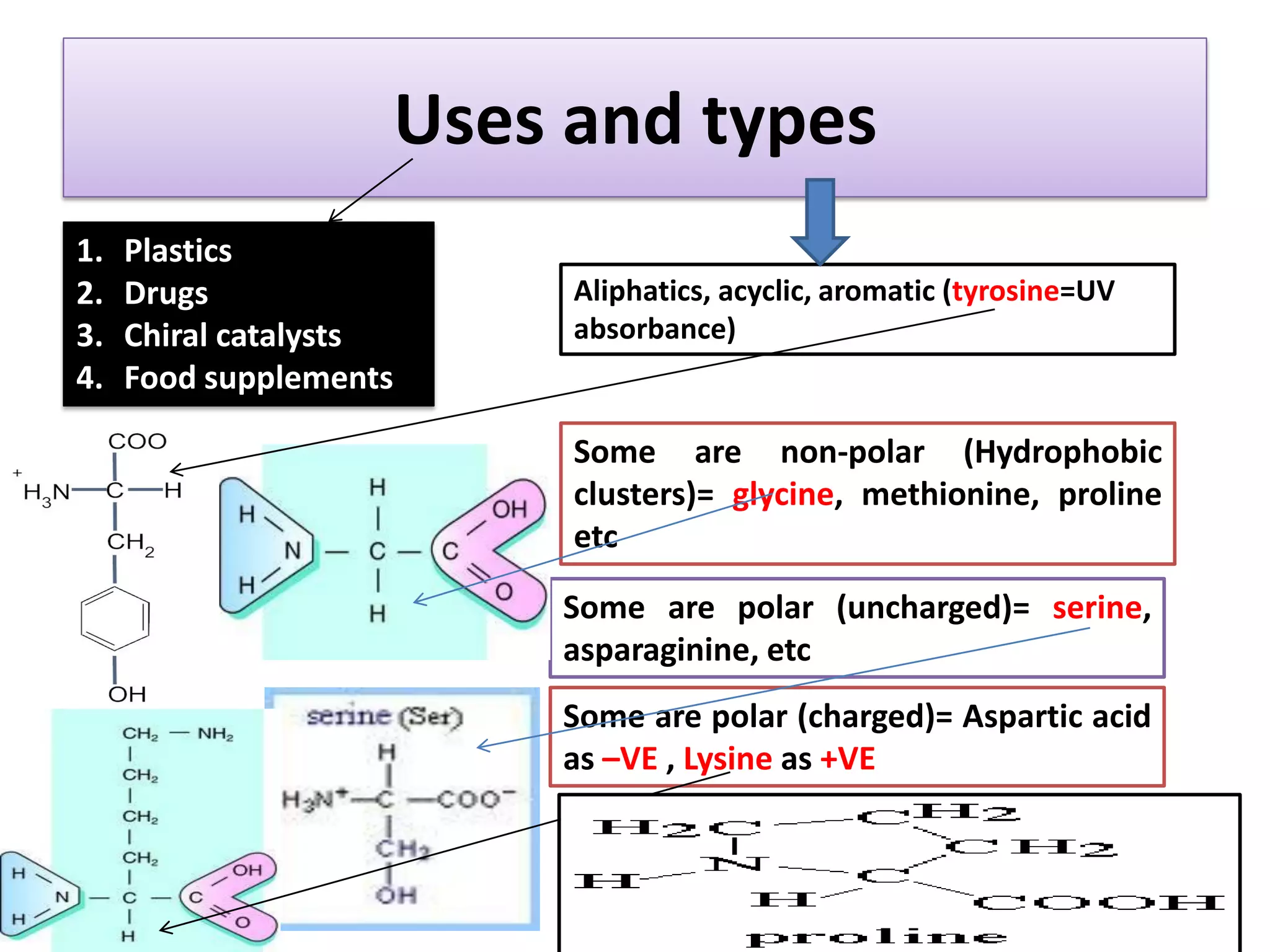 Uses and types
1. Plastics
2. Drugs
3. Chiral catalysts
4. Food supplements
Aliphatics, acyclic, aromatic (tyrosine=UV
absorbance)
Some are non-polar (Hydrophobic
clusters)= glycine, methionine, proline
etc
Some are polar (uncharged)= serine,
asparaginine, etc
Some are polar (charged)= Aspartic acid
as –VE , Lysine as +VE
 