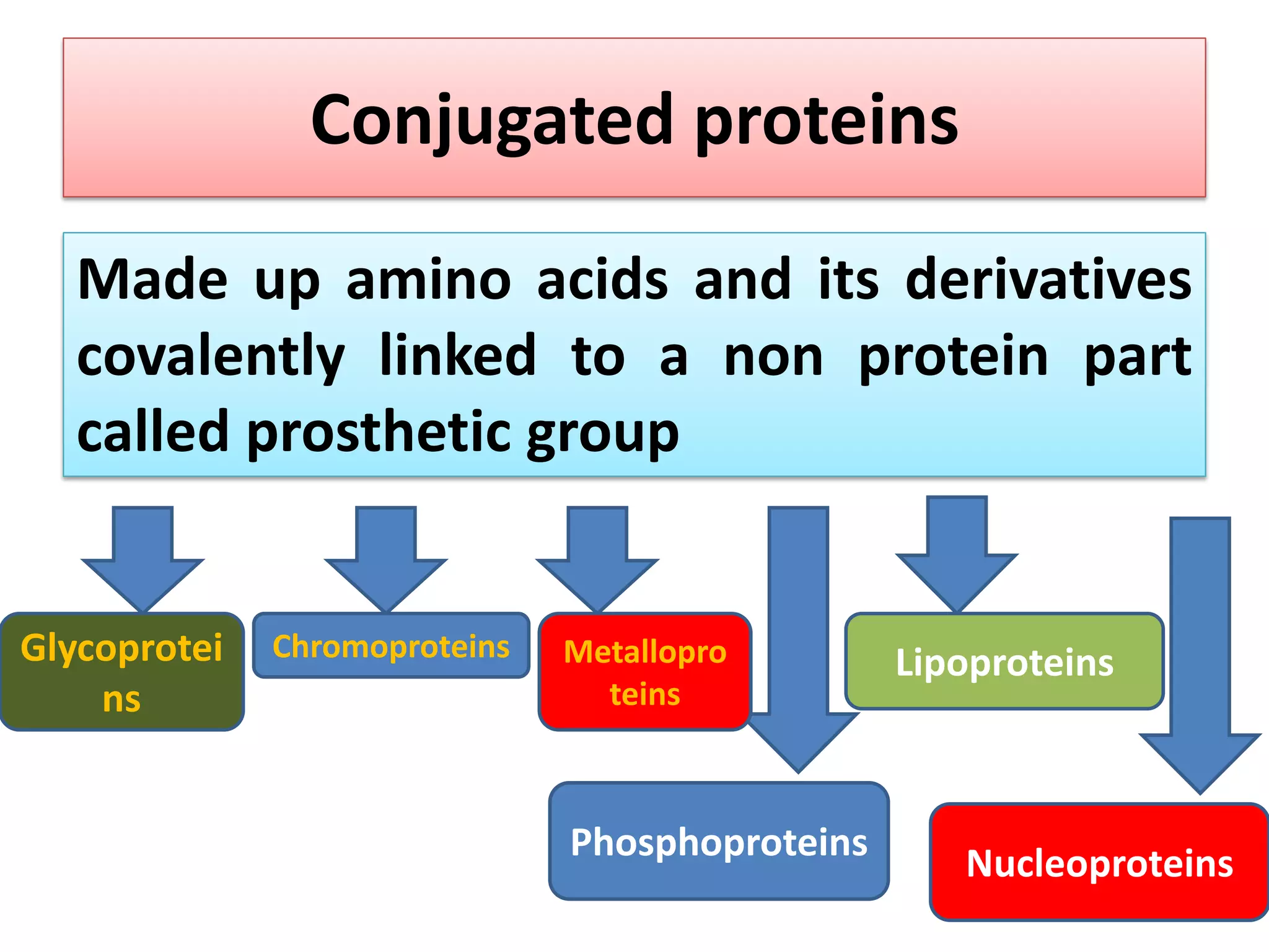 Conjugated proteins
Made up amino acids and its derivatives
covalently linked to a non protein part
called prosthetic group
Glycoprotei
ns
Chromoproteins Metallopro
teins
Phosphoproteins
Lipoproteins
Nucleoproteins
 