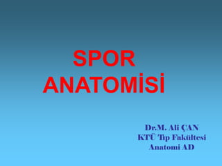 SPOR
ANATOMİSİ
Dr.M. Ali ÇAN
KTÜ Tıp Fakültesi
Anatomi AD
 