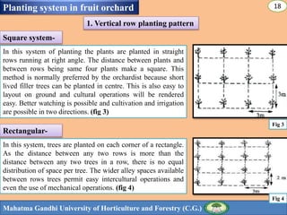 RECENT ADVANCES IN PROPAGATION, ROOTSTOCK INFLUENCE IN FRUIT CROPS | PPTX
