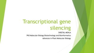 Transcriptional gene
silencing
SHEETAL MEHLA
PhD Molecular Biology Biotechnology and Bioinformatics
Advances in Plant Molecular Biology
 