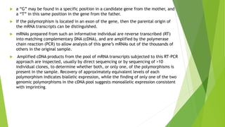  a “G” may be found in a specific position in a candidate gene from the mother, and
a “T” in this same position in the gene from the father.
 If the polymorphism is located in an exon of the gene, then the parental origin of
the mRNA transcripts can be distinguished.
 mRNAs prepared from such an informative individual are reverse transcribed (RT)
into matching complementary DNA (cDNA), and are amplified by the polymerase
chain reaction (PCR) to allow analysis of this gene’s mRNAs out of the thousands of
others in the original sample.
 Amplified cDNA products from the pool of mRNA transcripts subjected to this RT-PCR
approach are inspected, usually by direct sequencing or by sequencing of >10
individual clones, to determine whether both, or only one, of the polymorphisms is
present in the sample. Recovery of approximately equivalent levels of each
polymorphism indicates biallelic expression, while the finding of only one of the two
genomic polymorphisms in the cDNA pool suggests monoallelic expression consistent
with imprinting.
 