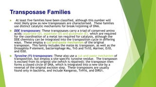 Transposase Families
 At least five families have been classified, although this number will
most likely grow as new transposases are characterised. These families
use distinct catalytic mechanisms for break/rejoining of DNA.
 DDE transposases: These transposases carry a triad of conserved amino
acids: aspartate (D), aspartate (D) and glutamate (E), which are required
for the coordination of a metal ion required for catalysis, although the
DDE chemistry can be integrated into the transposition cycle in differing
ways. These employ a cut-and-paste mechanism of the original
transposon. This family includes the maize Ac transposon, as well as the
Drosophila P element, bacteriophage Mu, Tn5 and Tn10, Mariner, IS10,
and IS50.
 Tyrosine (Y) transposases: These also use a cut-and-paste mechanism of
transposition, but employ a site-specific tyrosine residue. The transposon
is excised from its original site (which is repaired); the transposon then
forms a closed circle of DNA, which is integrated into a new site by a
reversal of the original excision step. These transposons are usually
found only in bacteria, and include Kangaroo, Tn916, and DIRS1.
 