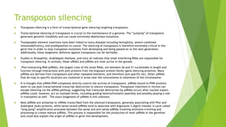 Transposon silencing
 Transposon silencing is a form of transcriptional gene silencing targeting transposons.
 Transcriptional silencing of transposons is crucial to the maintenance of a genome. The “jumping” of transposons
generates genomic instability and can cause extremely deleterious mutations.
 Transposable element insertions have been linked to many diseases including hemophilia, severe combined
immunodeficiency, and predisposition to cancer. The silencing of transposons is therefore extremely critical in the
germ line in order to stop transposon mutations from developing and being passed on to the next generation.
Additionally, these epigenetic defences against transposons can be heritable.
 Studies in Drosophila, Arabidopsis thaliana, and mice all indicate that small interfering RNAs are responsible for
transposon silencing. In animals, these siRNAS and piRNAs are most active in the gonads.
 Piwi-interacting RNA (piRNA), the largest class of the small RNAs, are between 26 and 31 nucleotides in length and
function through interactions with piwi proteins from the Argonaut protein family (gene silencing proteins). Many
piRNAs are derived from transposons and other repeated elements, and therefore lack specific loci. Other piRNAs
that do map to specific locations are clustered in areas near the centromeres or telomeres of the chromosome.
 It is thought that piRNA-PIWI complexes directly control the activity of transposons. piRNAs bound to PIWI proteins
seem to use post-transcriptional transcript destruction to silence transposons. Transposon insertions in introns can
escape silencing via the piRNA pathway, suggesting that transcript destruction by piRNAs occurs after nuclear export.
piRNAs could, however, act on multiple levels, including guiding heterochromatin assembly and possibly playing a role
in translation as well . The exact biogenesis of piRNAs is still unknown.
 Most piRNAs are antisense to mRNAs transcribed from the silenced transposons, generally associating with Piwi and
Aubergine (Aub) proteins, while sense-strand piRNAs tend to associate with Argonaute 3 (Ago3) instead. A cycle called
“ping pong” amplification proceeds between the sense and anti-sense piRNAs involving extensive trimming and
processing to create mature piRNAs. This process is responsible for the production of most piRNAs in the germline
and could also explain the origin of piRNAs in germ line development.
 