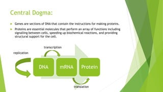 Central Dogma:
 Genes are sections of DNA that contain the instructions for making proteins.
 Proteins are essential molecules that perform an array of functions including
signalling between cells, speeding up biochemical reactions, and providing
structural support for the cell.
DNA mRNA Protein
transcription
translation
replication
 