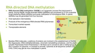 RNA directed DNA methylation
 RNA-directed DNA methylation (RdDM) is an epigenetic process first discovered in
plants. During RdDM, double-stranded RNAs (dsRNAs) are processed to 21-24 nucleotide
small interfering RNAs (siRNAs) and guide methylation of homologous DNA. In plants
dsRNAs may be generated from four sources:
 Viral replication intermediates
 Products of the endogenous RNA-directed RNA polymerase
 Transcribed inverted repeats
 Transposable elements
 Besides RNA molecules, a plethora of proteins are involved in the establishment of RdDM,
like Argonautes, DNA methyltransferases, chromatin remodelling complexes. and the plant-
specific Polymerase IVand Polymerase V. All these act in concert to add a methyl-group at
the 5' position of cytosines. In contrast to animals, cytosines at all sequence context (CG,
CHG, CHH) may get de novo methylated in plants.
 