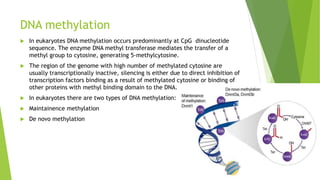 DNA methylation
 In eukaryotes DNA methylation occurs predominantly at CpG dinucleotide
sequence. The enzyme DNA methyl transferase mediates the transfer of a
methyl group to cytosine, generating 5-methylcytosine.
 The region of the genome with high number of methylated cytosine are
usually transcriptionally inactive, silencing is either due to direct inhibition of
transcription factors binding as a result of methylated cytosine or binding of
other proteins with methyl binding domain to the DNA.
 In eukaryotes there are two types of DNA methylation:
 Maintainence methylation
 De novo methylation
 