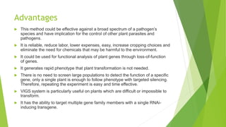 Advantages
 This method could be effective against a broad spectrum of a pathogen’s
species and have implication for the control of other plant parasites and
pathogens.
 It is reliable, reduce labor, lower expenses, easy, increase cropping choices and
eliminate the need for chemicals that may be harmful to the environment.
 It could be used for functional analysis of plant genes through loss-of-function
of genes.
 It generates rapid phenotype that plant transformation is not needed.
 There is no need to screen large populations to detect the function of a specific
gene, only a single plant is enough to follow phenotype with targeted silencing.
Therefore, repeating the experiment is easy and time effective.
 VIGS system is particularly useful on plants which are difficult or impossible to
transform.
 It has the ability to target multiple gene family members with a single RNAi-
inducing transgene.
 