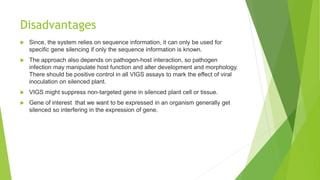 Disadvantages
 Since, the system relies on sequence information, it can only be used for
specific gene silencing if only the sequence information is known.
 The approach also depends on pathogen-host interaction, so pathogen
infection may manipulate host function and alter development and morphology.
There should be positive control in all VIGS assays to mark the effect of viral
inoculation on silenced plant.
 VIGS might suppress non-targeted gene in silenced plant cell or tissue.
 Gene of interest that we want to be expressed in an organism generally get
silenced so interfering in the expression of gene.
 
