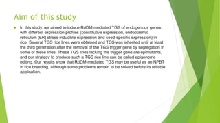 Aim of this study
 In this study, we aimed to induce RdDM‐mediated TGS of endogenous genes
with different expression profiles (constitutive expression, endoplasmic
reticulum [ER] stress‐inducible expression and seed‐specific expression) in
rice. Several TGS rice lines were obtained and TGS was inherited until at least
the third generation after the removal of the TGS trigger gene by segregation in
some of these lines. These TGS lines lacking the trigger gene are epimutants,
and our strategy to produce such a TGS rice line can be called epigenome
editing. Our results show that RdDM‐mediated TGS may be useful as an NPBT
in rice breeding, although some problems remain to be solved before its reliable
application.
 