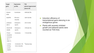  Induction efficiency of
transcriptional gene silencing in six
endogenous genes
 Plants with severely inhibited
growth and withered plants were
counted as TGS lines.
 