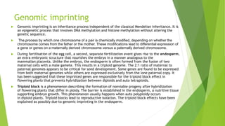 Genomic imprinting
 Genomic imprinting is an inheritance process independent of the classical Mendelian inheritance. It is
an epigenetic process that involves DNA methylation and histone methylation without altering the
genetic sequence.
 The process by which one chromosome of a pair is chemically modified, depending on whether the
chromosome comes from the father or the mother. These modifications lead to differential expression of
a gene or genes on a maternally derived chromosome versus a paternally derived chromosome.
 During fertilisation of the egg cell, a second, separate fertilization event gives rise to the endosperm,
an extra embryonic structure that nourishes the embryo in a manner analogous to the
mammalian placenta. Unlike the embryo, the endosperm is often formed from the fusion of two
maternal cells with a male gamete. This results in a triploid genome. The 2:1 ratio of maternal to
paternal genomes appears to be critical for seed development. Some genes are found to be expressed
from both maternal genomes while others are expressed exclusively from the lone paternal copy. It
has been suggested that these imprinted genes are responsible for the triploid block effect in
flowering plants that prevents hybridization between diploids and auto tetraploids.
 Triploid block is a phenomenon describing the formation of nonviable progeny after hybridization
of flowering plants that differ in ploidy. The barrier is established in the endosperm, a nutritive tissue
supporting embryo growth. This phenomenon usually happens when auto polyploidy occurs
in diploid plants. Triploid blocks lead to reproductive isolation. The triploid block effects have been
explained as possibly due to genomic imprinting in the endosperm.
 