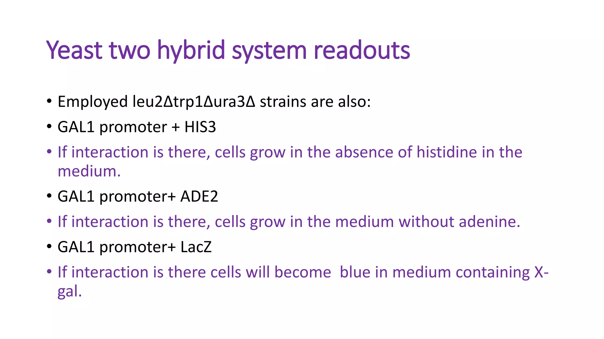 yeast two hybrid system | PPTX