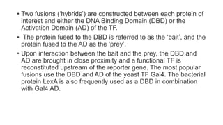• Two fusions (‘hybrids’) are constructed between each protein of
interest and either the DNA Binding Domain (DBD) or the
Activation Domain (AD) of the TF.
• The protein fused to the DBD is referred to as the ‘bait’, and the
protein fused to the AD as the ‘prey’.
• Upon interaction between the bait and the prey, the DBD and
AD are brought in close proximity and a functional TF is
reconstituted upstream of the reporter gene. The most popular
fusions use the DBD and AD of the yeast TF Gal4. The bacterial
protein LexA is also frequently used as a DBD in combination
with Gal4 AD.
 