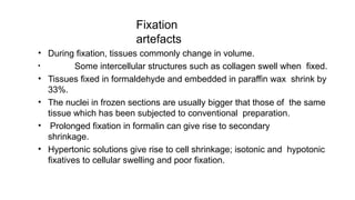 Fixing Science 602305537-Killing-and-fixing-of-plant-specimens.pptx