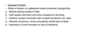 Fixing Science 602305537-Killing-and-fixing-of-plant-specimens.pptx