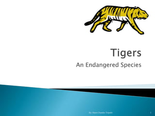 An Endangered Species




    By: Bipin Chandra Tripathi   1
 