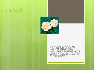 LAS ROSAS
LAS ROSAS ES ALGO MUY
NATURAL EN NUESTRA
NATURALEZA PORQUE HACE
VER LA PROPIA BELLEZA Y EL
OLOR ES RICO