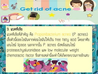 3. แบคทีเรีย
แบคทีเรียที่สาคัญ คือ Propionibacterium acnes (P. acnes)
เชื้อตัวนี้ย่อยไขมันจากต่อมไขมันให้เป็น free fatty acid โดยอาศัย
เอนไซม์ lipase นอกจากนั้น P. acnes ยังหลั่งเอนไซม์
protease,hyaluronidase และ low molecular weight
chemotactic factor ซึ่งสารเหล่านี้จะทาให้เกิดกระบวนการอักเสบ
menu
 