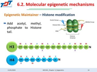 603148.Chapter 6 - Epigenetics.pdf gemomic | PDF