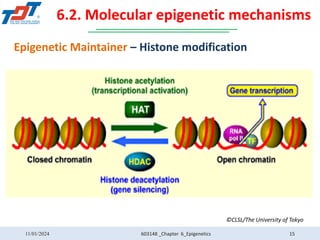 603148.Chapter 6 - Epigenetics.pdf gemomic | PDF