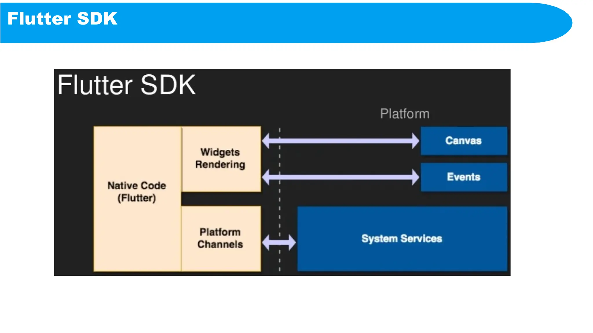 Flutter SDK
 