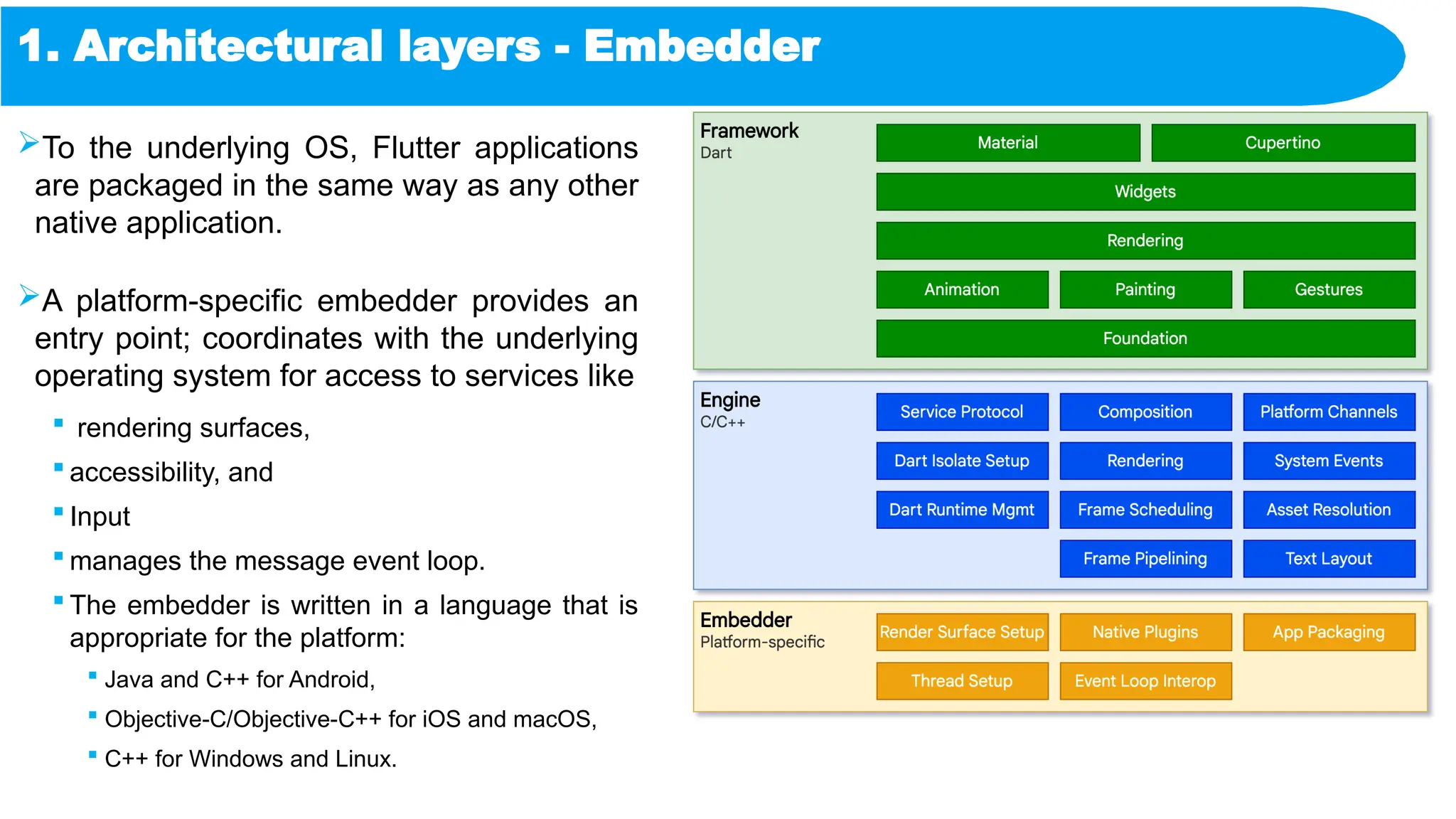 1. Architectural layers - Embedder
To the underlying OS, Flutter applications
are packaged in the same way as any other
native application.
A platform-specific embedder provides an
entry point; coordinates with the underlying
operating system for access to services like
 rendering surfaces,
 accessibility, and
 Input
 manages the message event loop.
 The embedder is written in a language that is
appropriate for the platform:
 Java and C++ for Android,
 Objective-C/Objective-C++ for iOS and macOS,
 C++ for Windows and Linux.
 