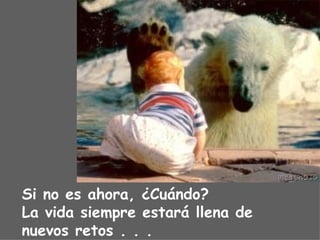 Si no es ahora, ¿Cuándo? La vida siempre estará llena de nuevos retos . . . 