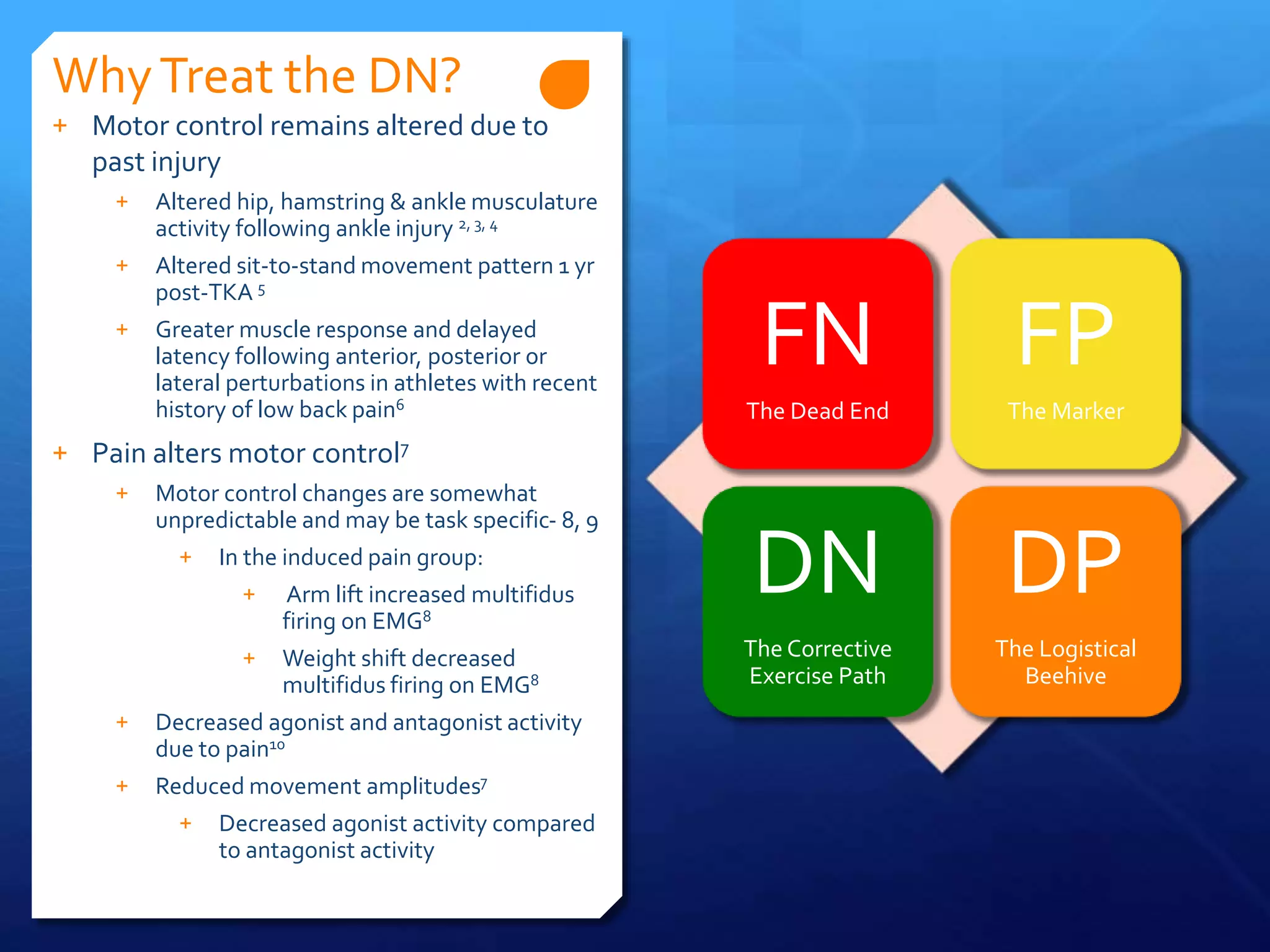 WhyTreat the DN?
FN
The Dead End
FP
The Marker
DN
The Corrective
Exercise Path
DP
The Logistical
Beehive
+ Motor control remains altered due to
past injury
+ Altered hip, hamstring & ankle musculature
activity following ankle injury 2, 3, 4
+ Altered sit-to-stand movement pattern 1 yr
post-TKA 5
+ Greater muscle response and delayed
latency following anterior, posterior or
lateral perturbations in athletes with recent
history of low back pain6
+ Pain alters motor control7
+ Motor control changes are somewhat
unpredictable and may be task specific- 8, 9
+ In the induced pain group:
+ Arm lift increased multifidus
firing on EMG8
+ Weight shift decreased
multifidus firing on EMG8
+ Decreased agonist and antagonist activity
due to pain10
+ Reduced movement amplitudes7
+ Decreased agonist activity compared
to antagonist activity
 