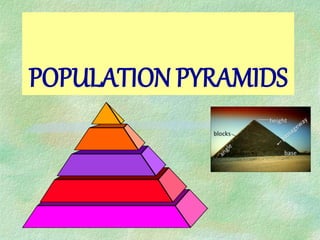 POPULATION PYRAMIDS
 