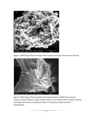 9
Figure 1: SEM image of freeze dried gel. Micro-porous structures can be seen in the bulk.
Figure 2: SEM image of freeze dried gel with reduced moisture (50%). Micro-porous
structure content reduces as water content reduces. This indicates that it is better to freeze
dry the gel with maximum quantity of water in it in order to impart maximum
microporosity.
 