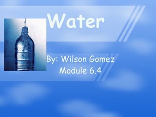 Water By: Wilson Gomez Module 6.4 
